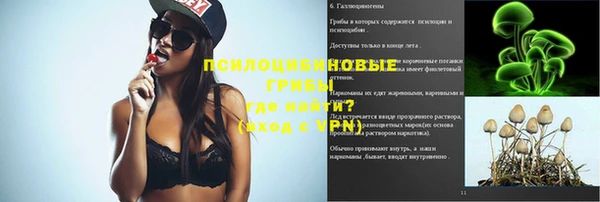 спайс Абаза