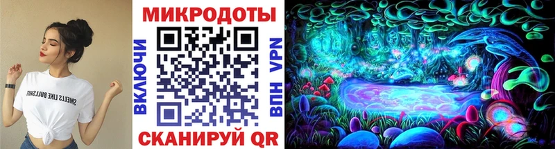 Псилоцибиновые грибы Psilocybine cubensis  Тихорецк 